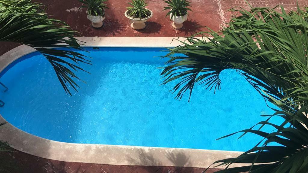 Arcoiris Share Apartment Bavaro Punta Cana Eksteriør bilde